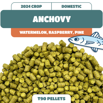 Anchovy Hop Pellets (2024)